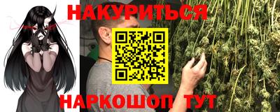 мяу мяу мука Новозыбков