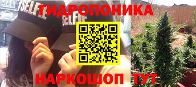 мяу мяу мука Новозыбков
