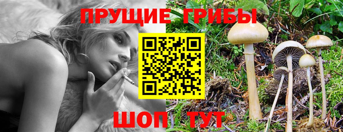 Галлюциногенные грибы Magic Shrooms  Псилоцибиновые грибы мицелий  Вход с VPN  Чернушка 
